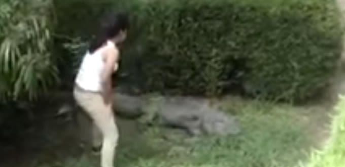 VIDEO: Desafía niña a cocodrilo en zoológico 