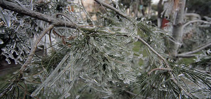 Registr&oacute; -11 grados cent&iacute;grados El Vergel